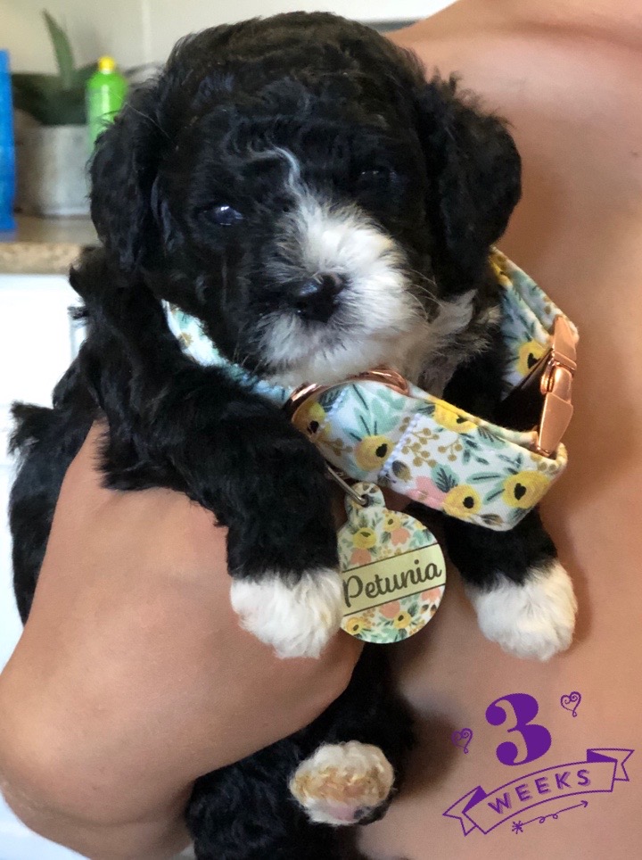 2FB9ABB6-09B8-460B-B52B-A378E6D47F21