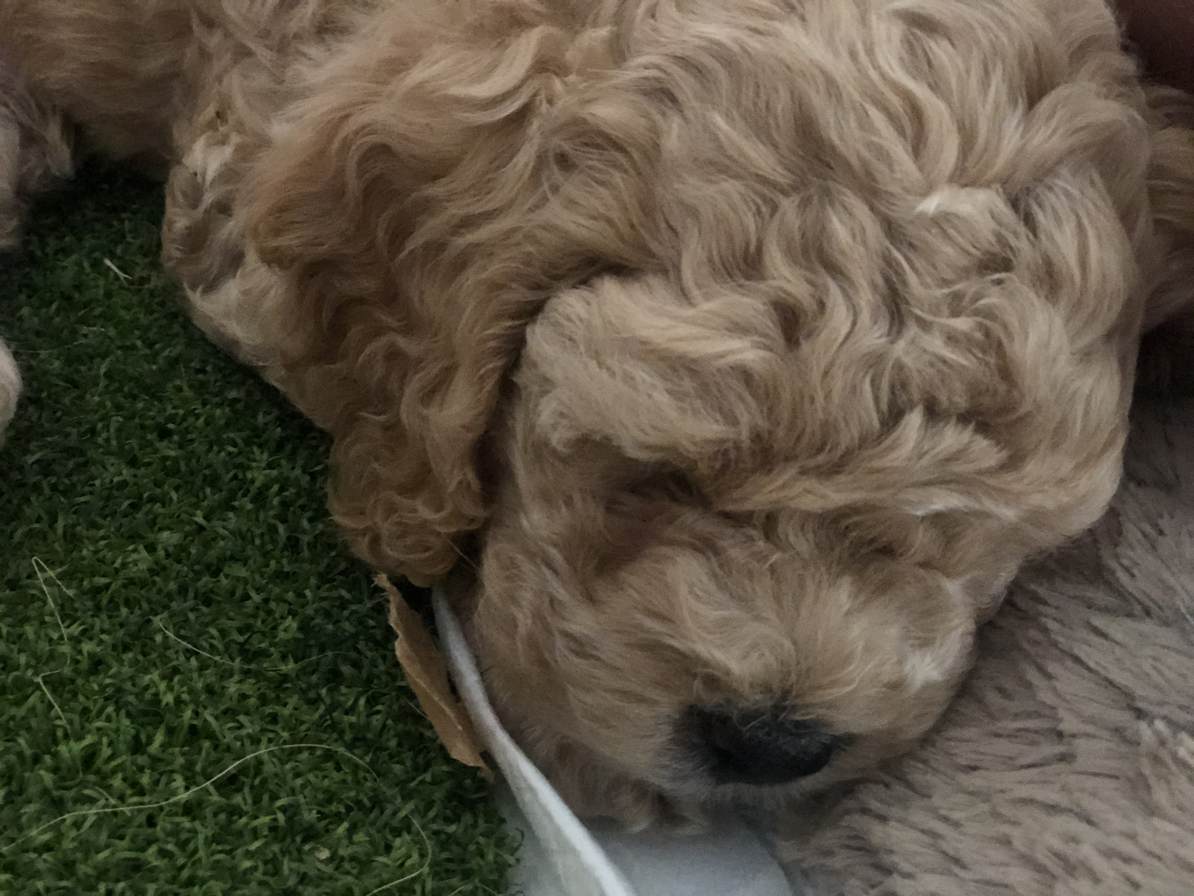 3A125E06-C6F9-4887-AA1C-590D9C181726