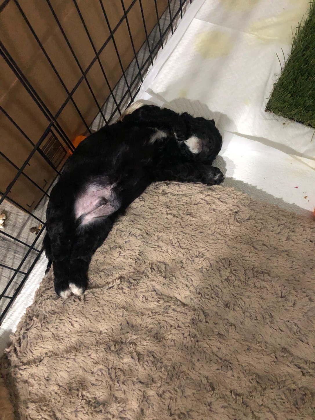 3E385FE2-177C-4852-8C63-D37818DA85C9