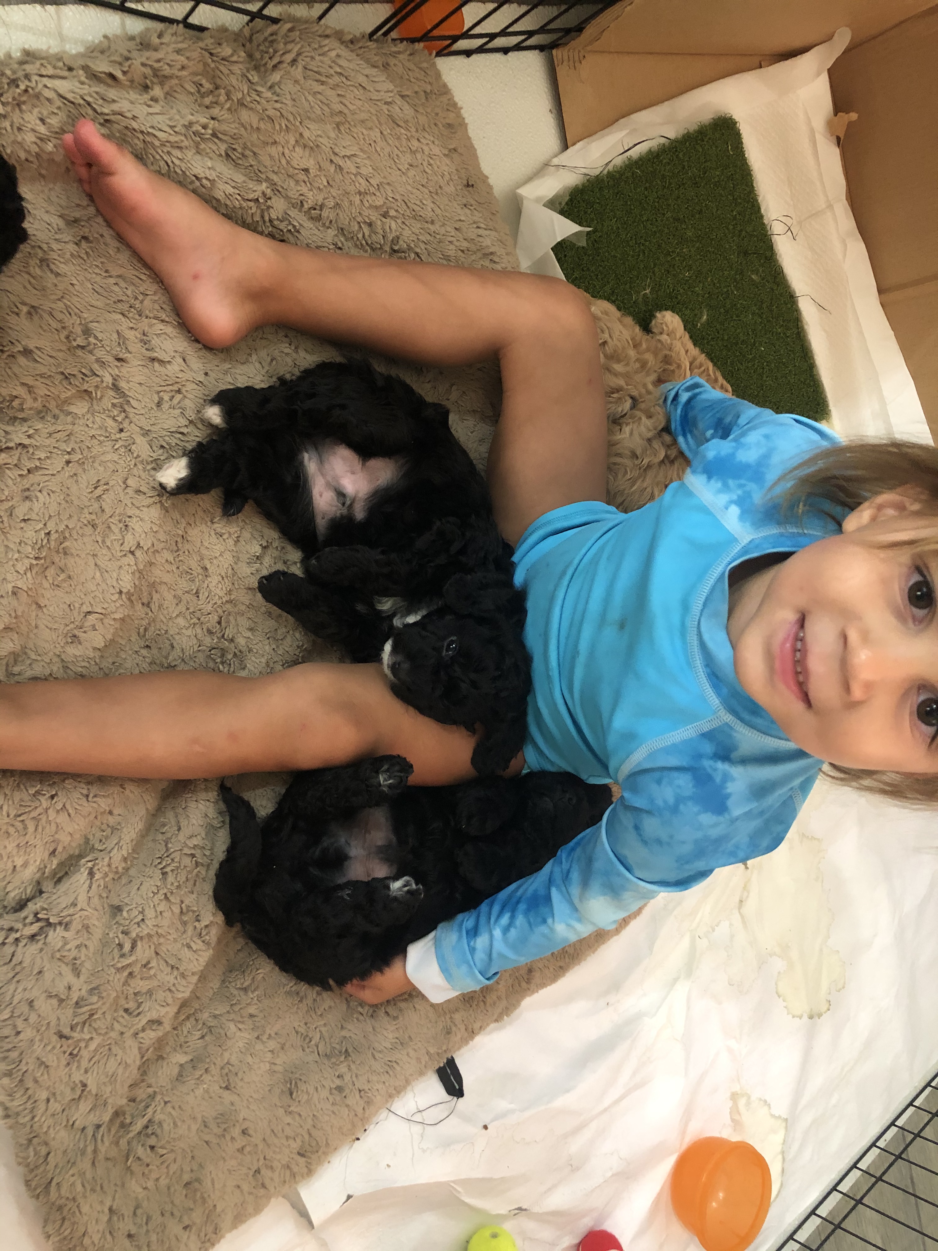 54D4A74C-B3D7-4C28-BEB1-BB45D883D709