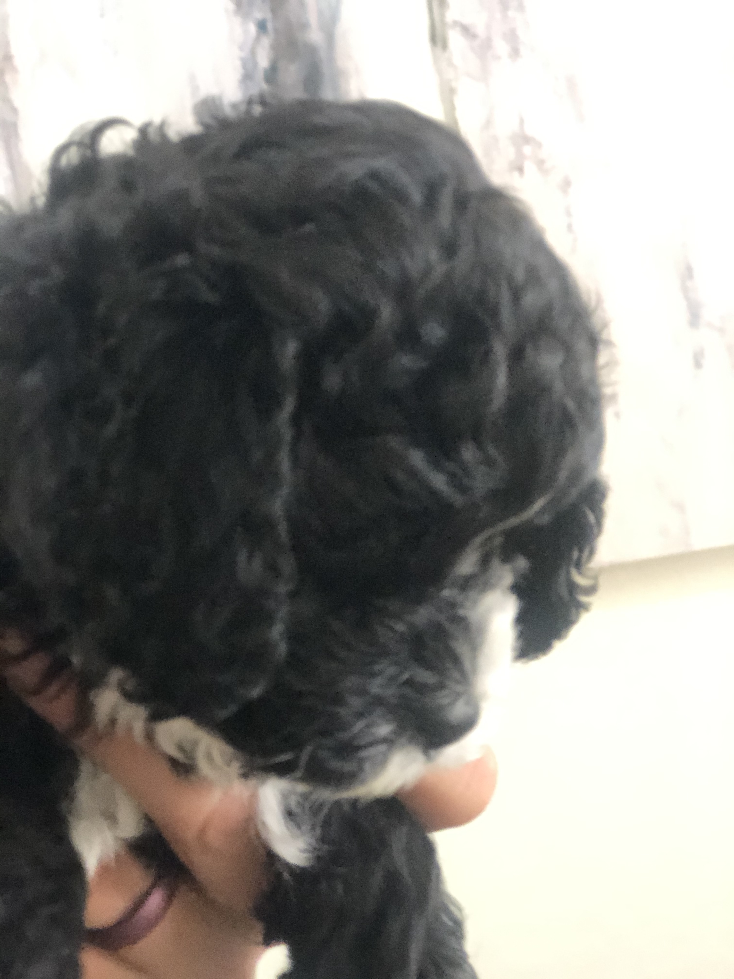 5E505BD0-D7E2-459C-8D25-331A55EA70D9