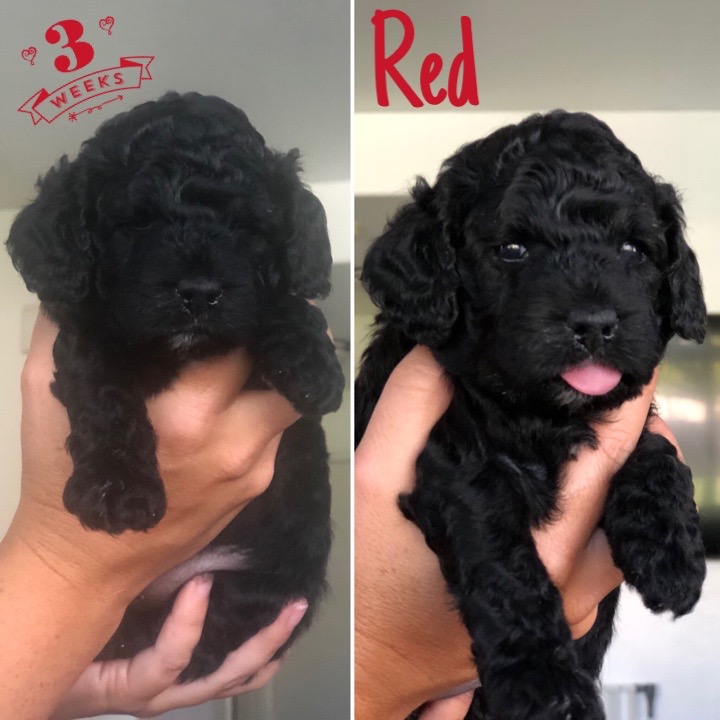 66B47115-6B54-403D-9801-37B5C24CF809