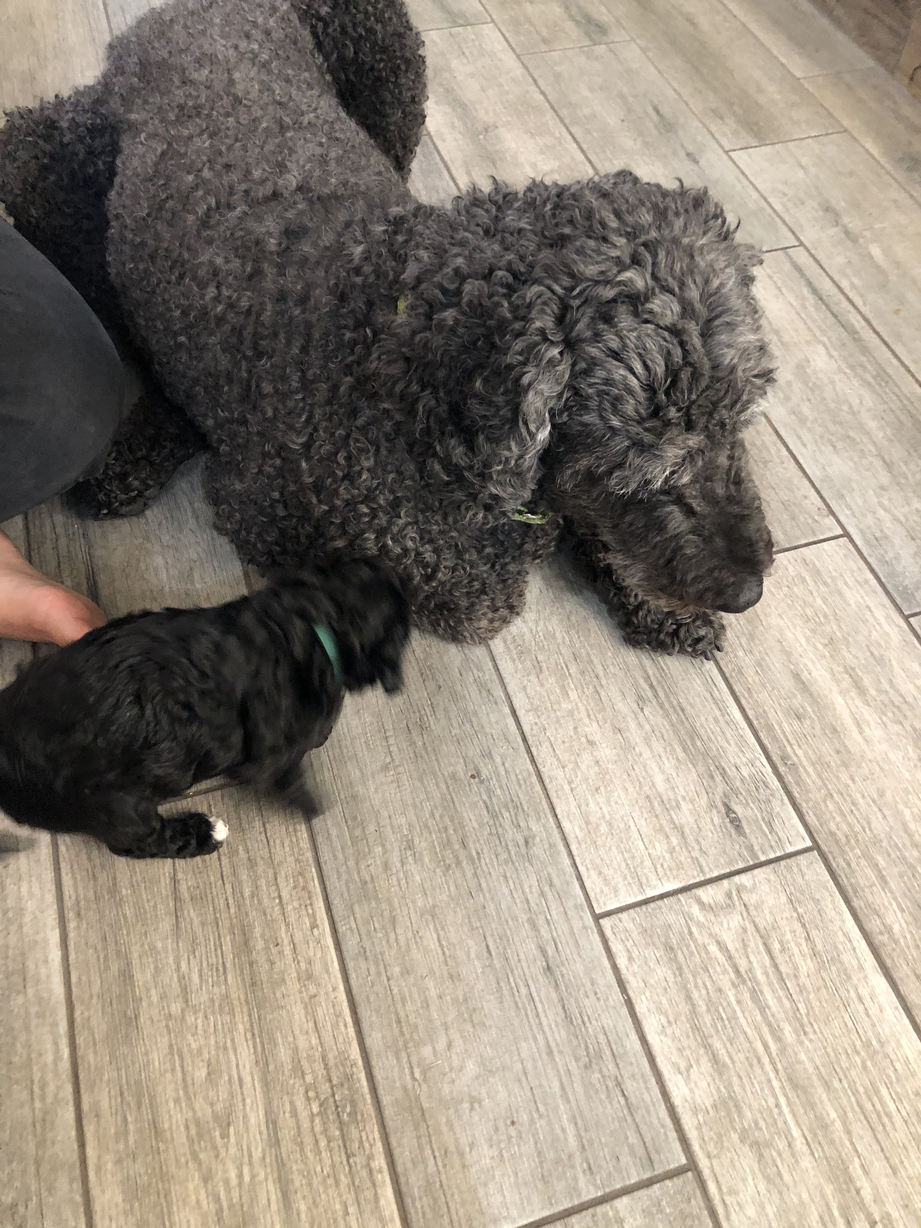 8B84EF7C-507C-4C7C-BB72-D39179F6DC94