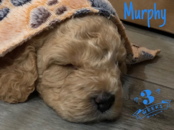 BF364442-50D6-4E5A-B6AB-04F6561BE72D