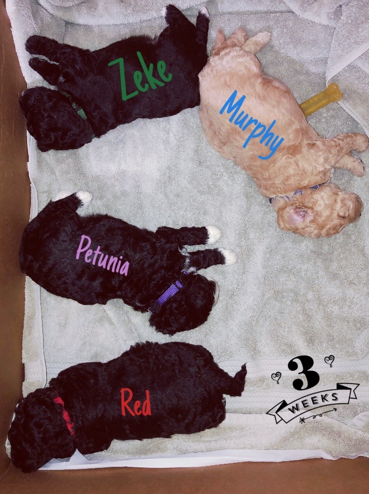 C868FE74-AA62-42E5-A721-5686A286EEE5