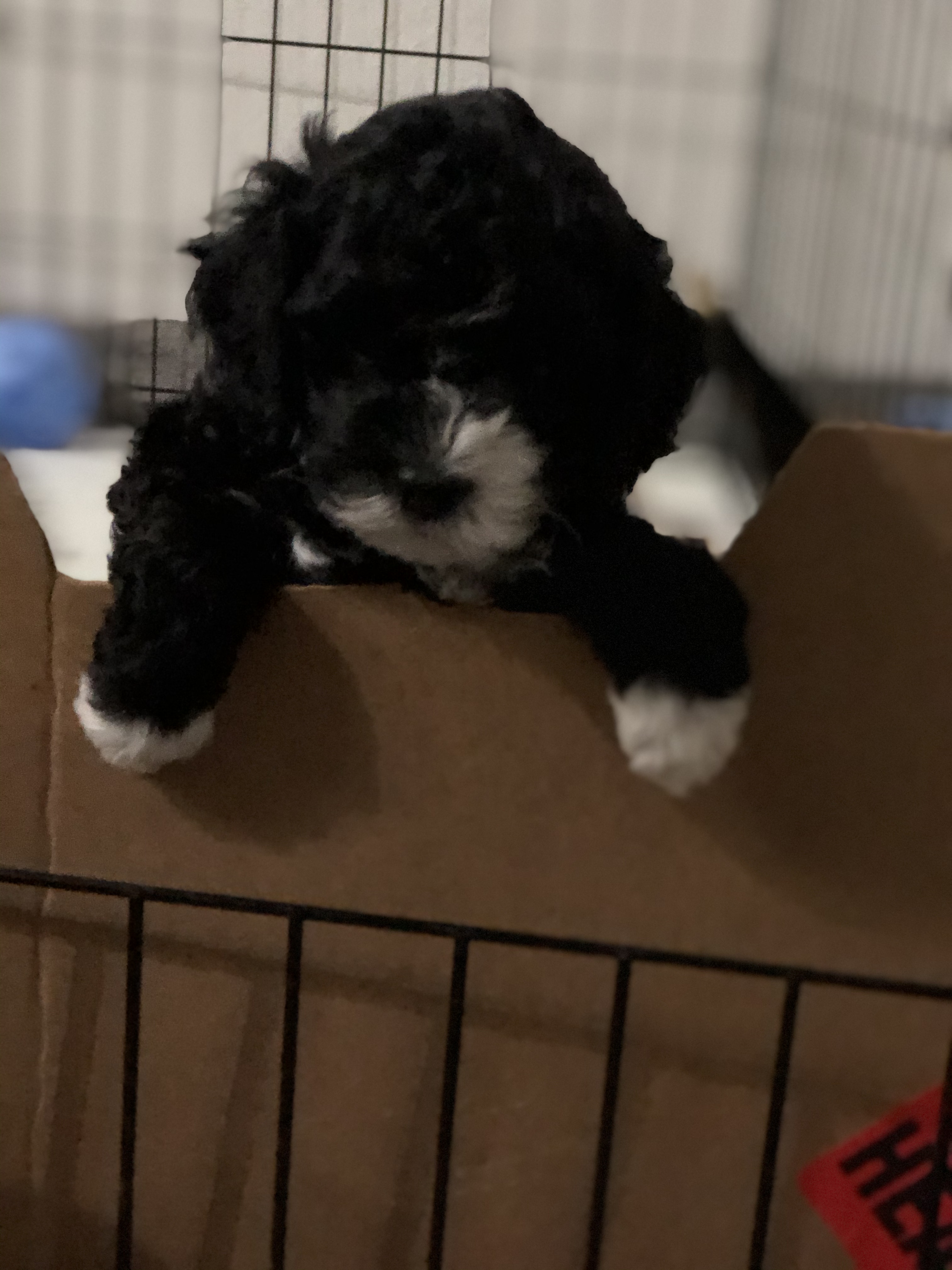 DAD87B0E-46BB-4E81-B6D9-9953DF3A5D35