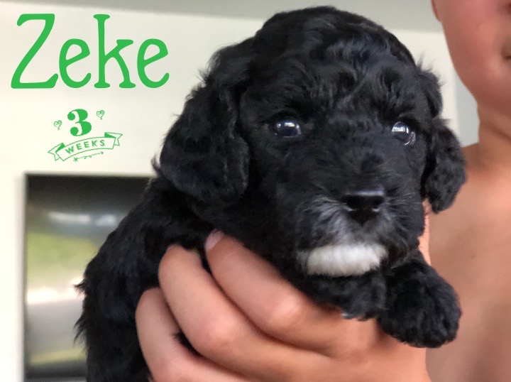 FA20B508-2CB8-4EAE-8003-559A950C21A6